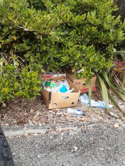 Rubbish/Recycling — a report photo