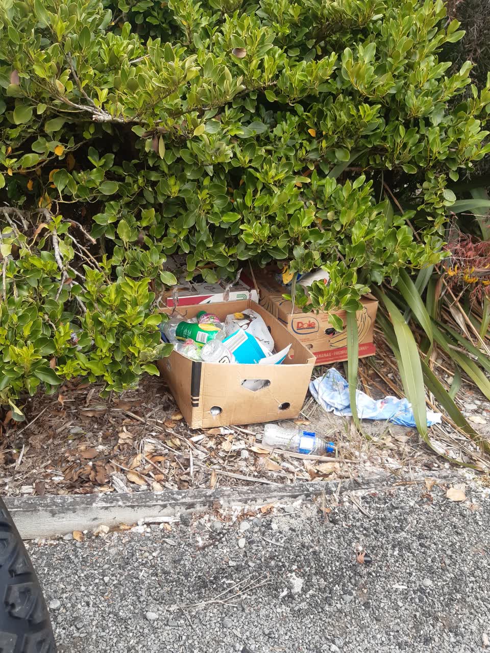 The photograph attached to this rubbish/recycling report