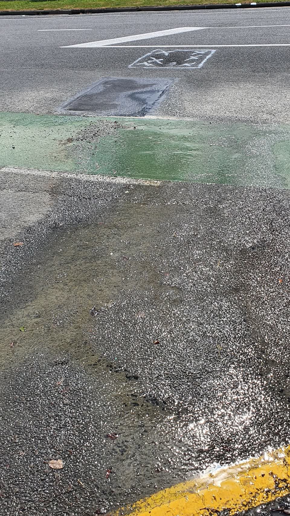 The photograph attached to this water leak report