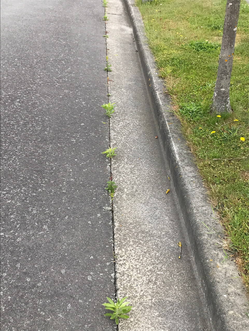 The photograph attached to this roading/streets report