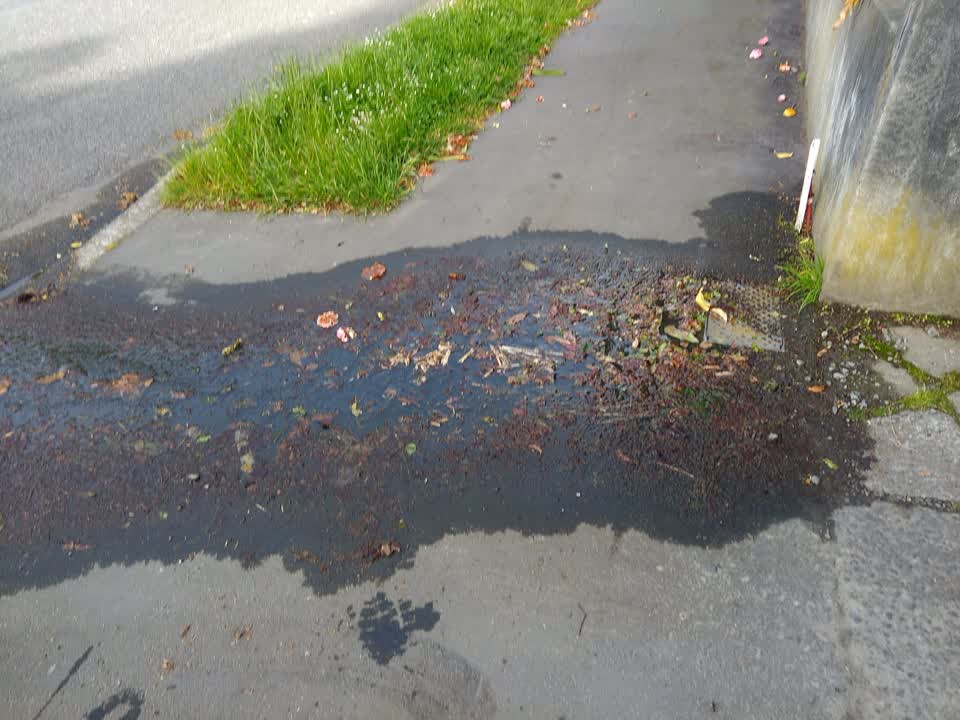 The photograph attached to this sewer - leak / blockage report