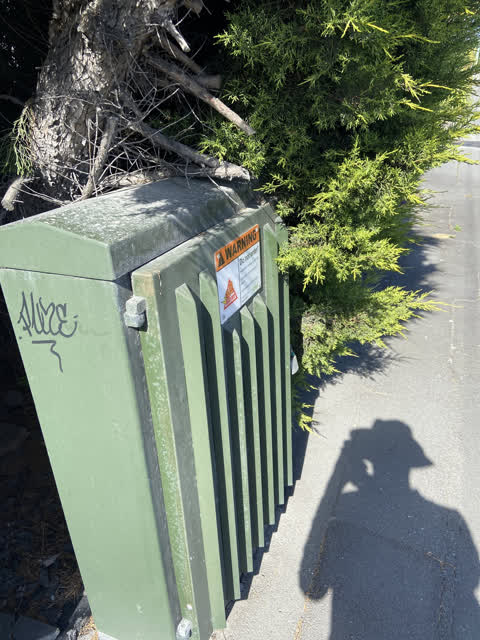 Graffiti, a report photo