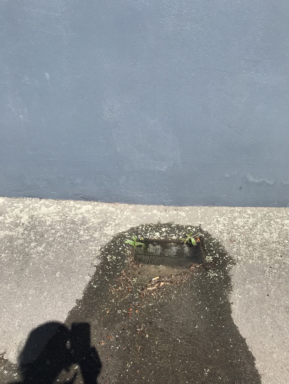 The photograph attached to this water leak report