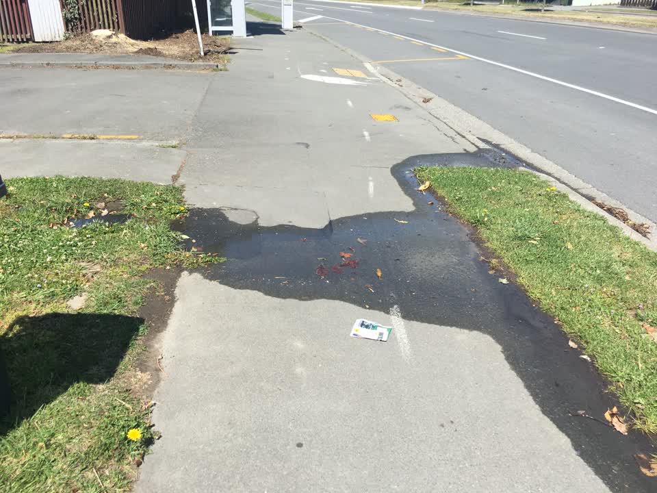 The photograph attached to this water leak report