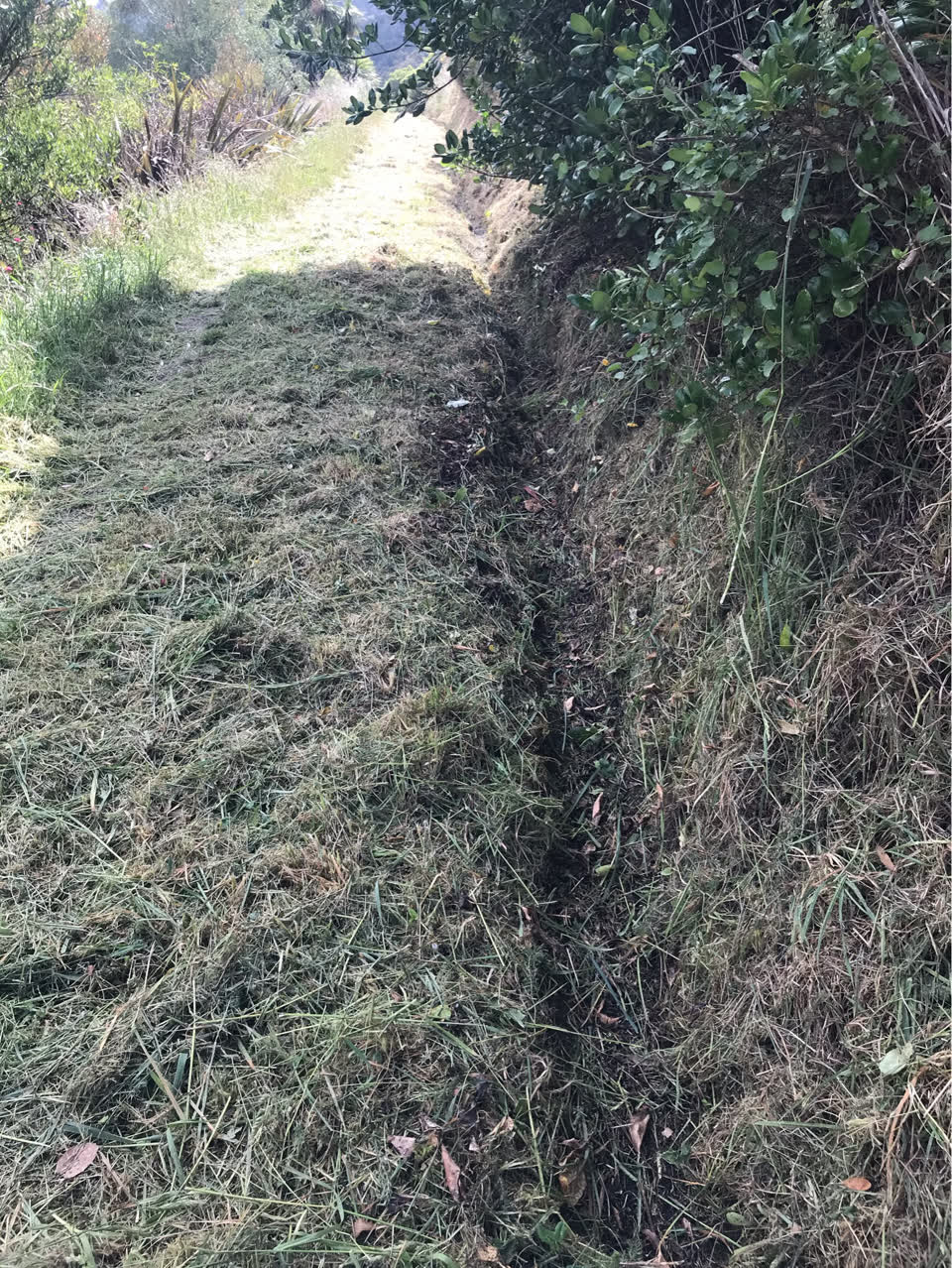 The photograph attached to this parks report