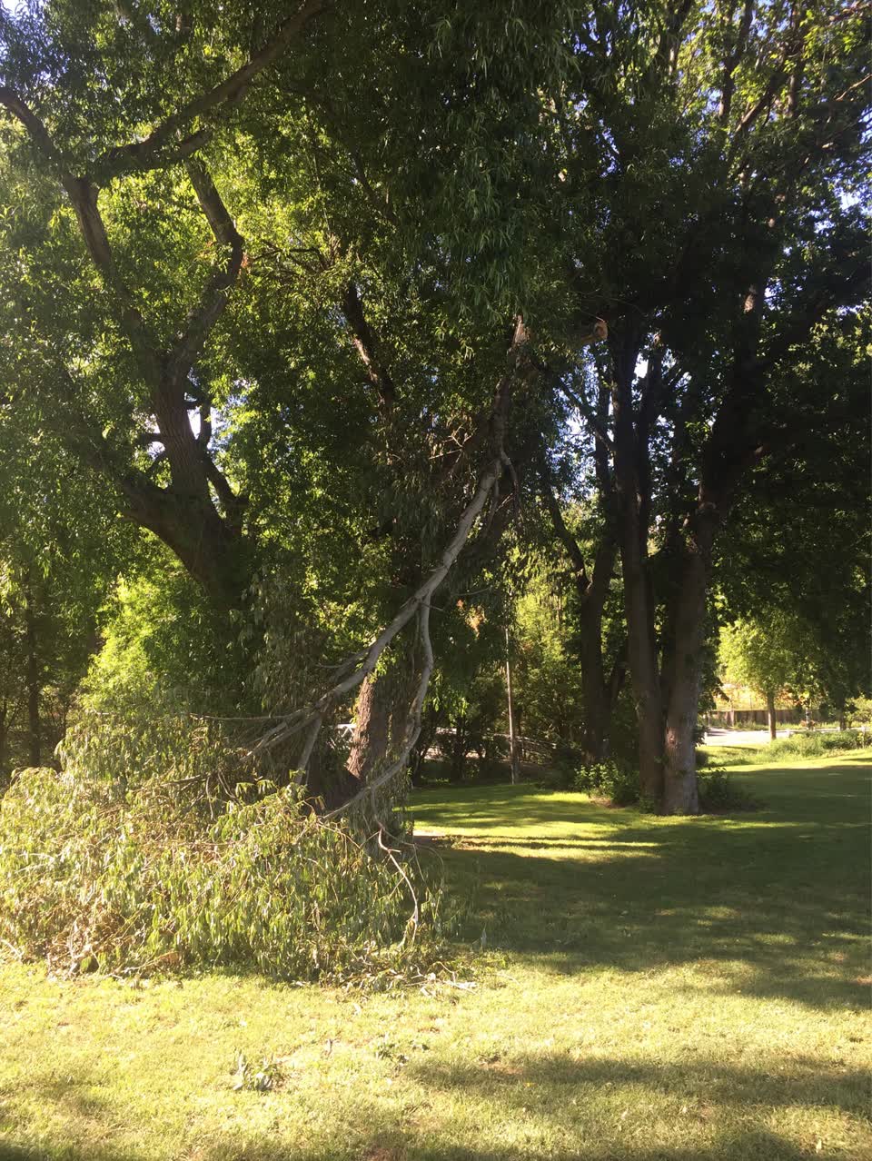 The photograph attached to this parks report