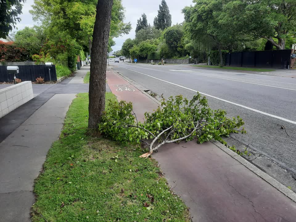 The photograph attached to this street light outage report