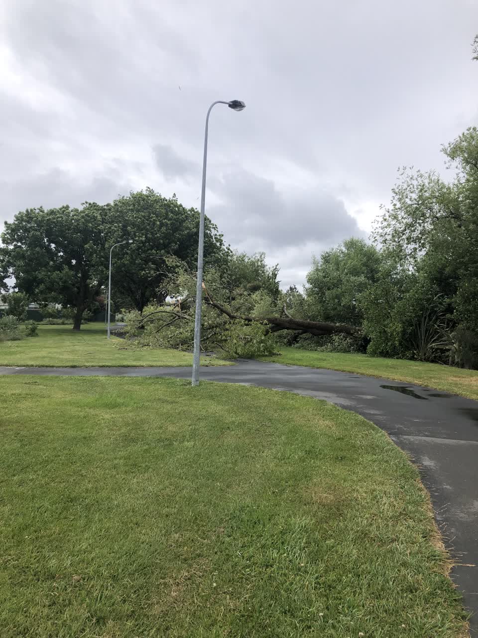 The photograph attached to this parks report
