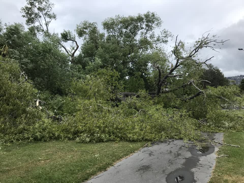 The photograph attached to this parks report