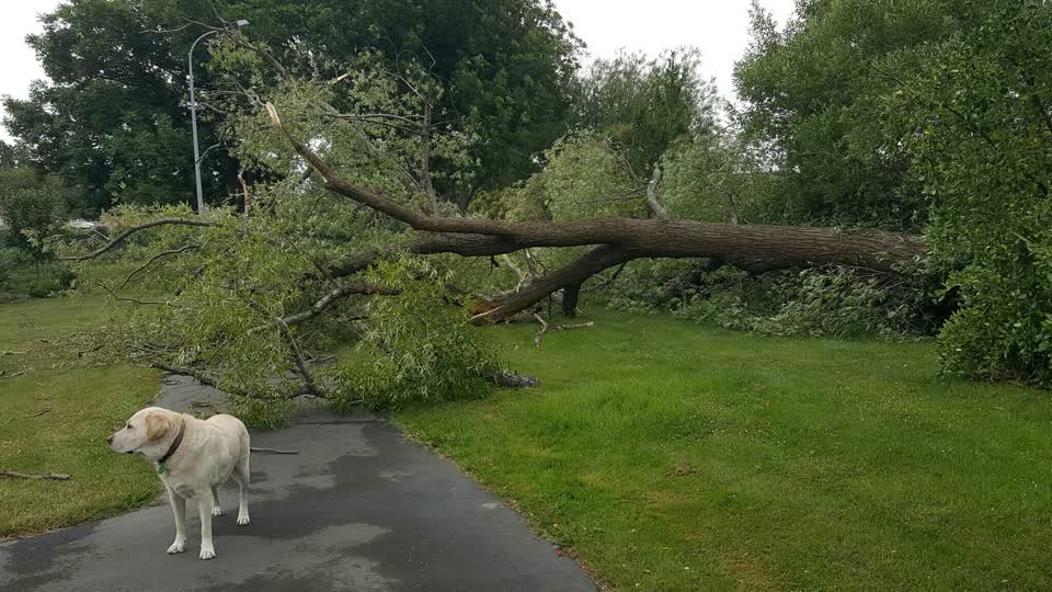 The photograph attached to this parks report