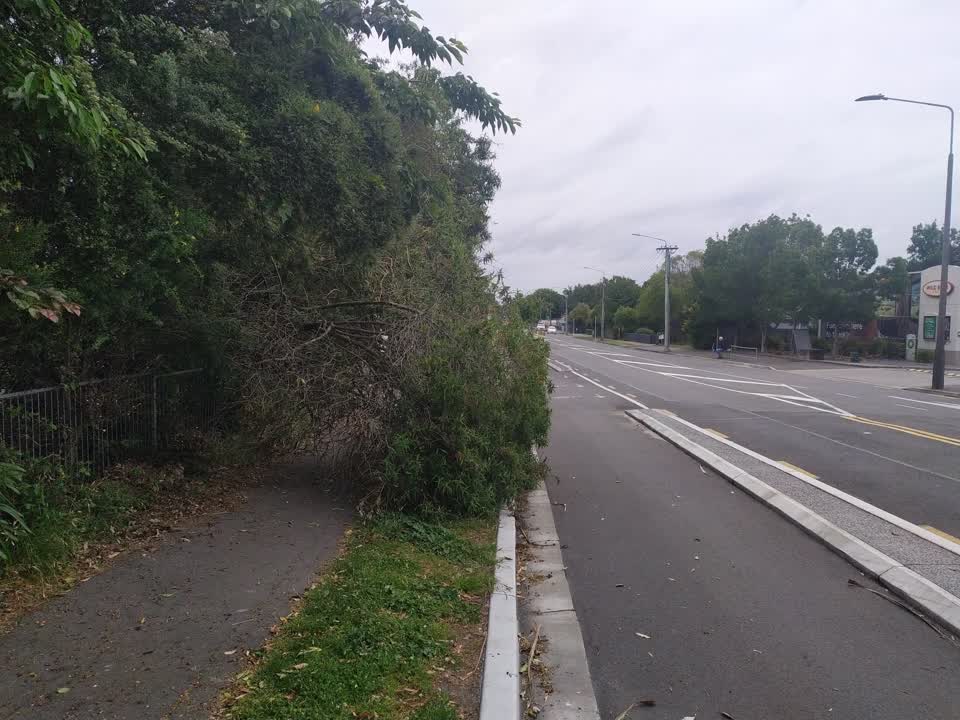 The photograph attached to this roading/streets report
