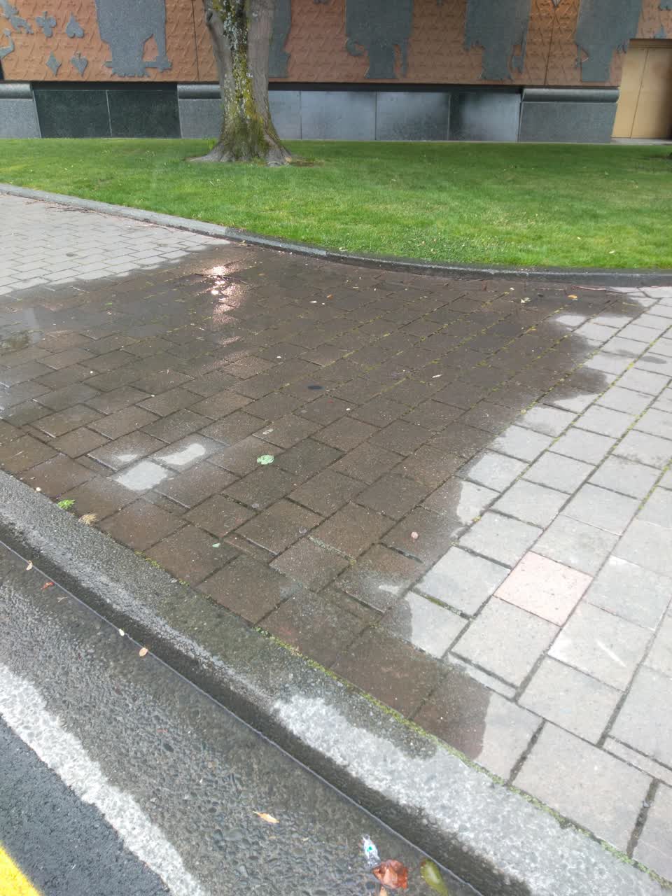 The photograph attached to this water leak report