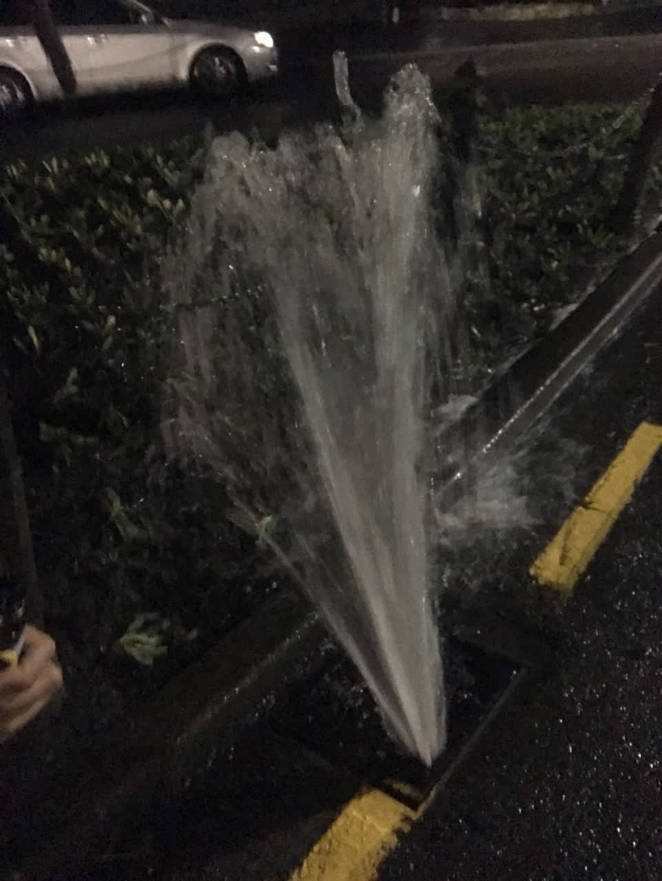 The photograph attached to this water leak report
