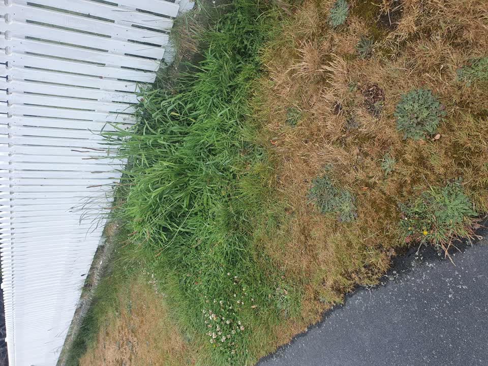 The photograph attached to this water supply report