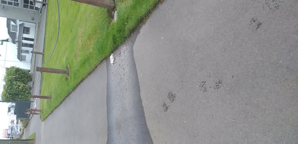 The photograph attached to this water leak report