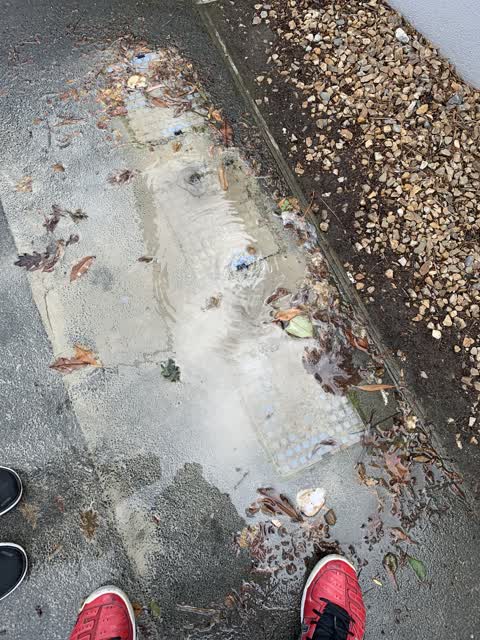 Water Leak, a report photo
