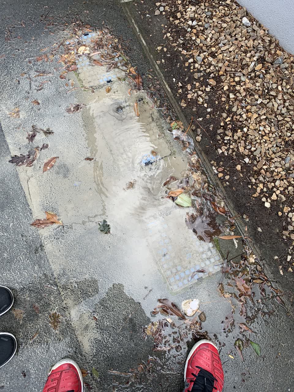 The photograph attached to this water leak report