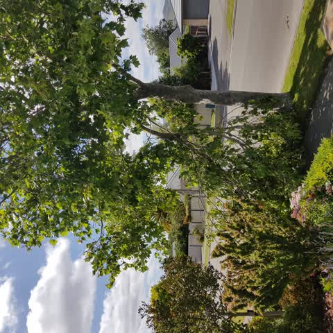Roading/Streets, a report photo
