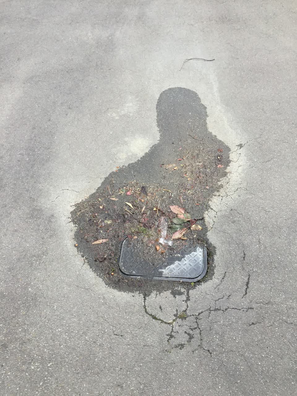 The photograph attached to this water leak report