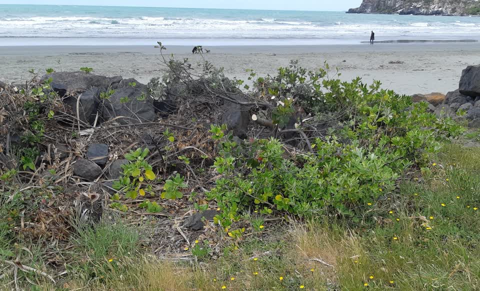 The photograph attached to this parks report