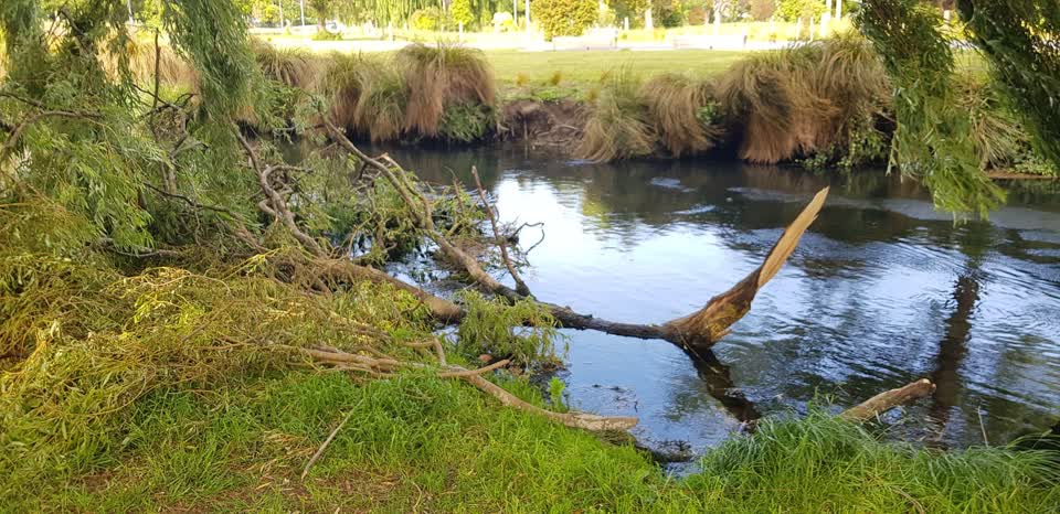 The photograph attached to this parks report