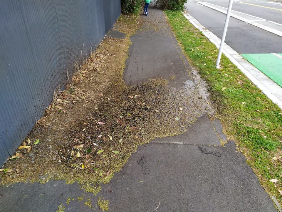 The photograph attached to this water leak report