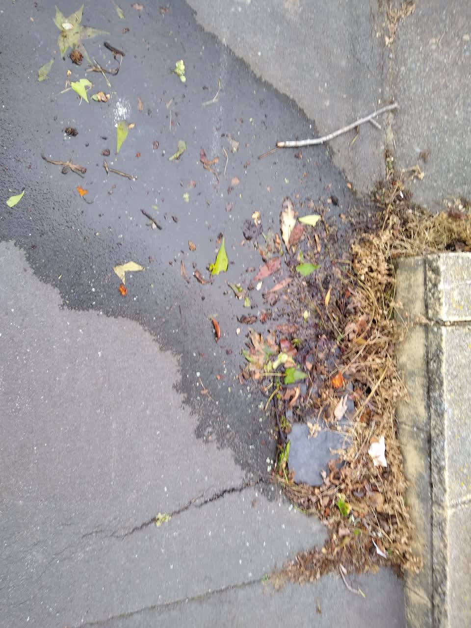 The photograph attached to this water leak report