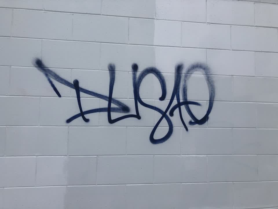 The photograph attached to this graffiti report