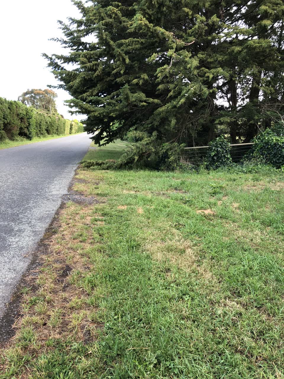 The photograph attached to this street light outage report