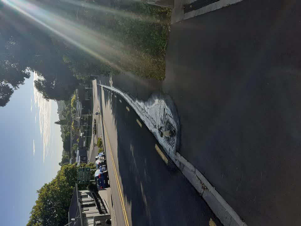 The photograph attached to this sewer - leak / blockage report