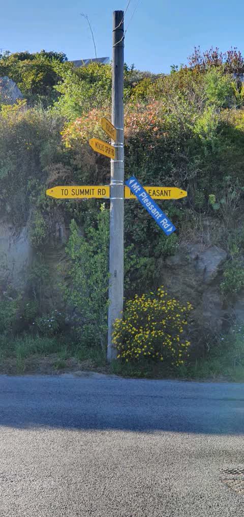 Roading/Streets, a report photo