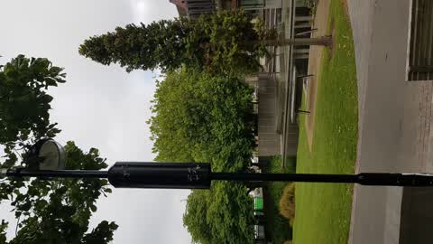 Street Light Outage, a report photo
