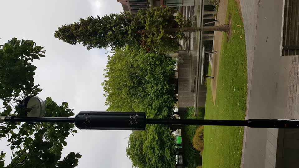 The photograph attached to this street light outage report