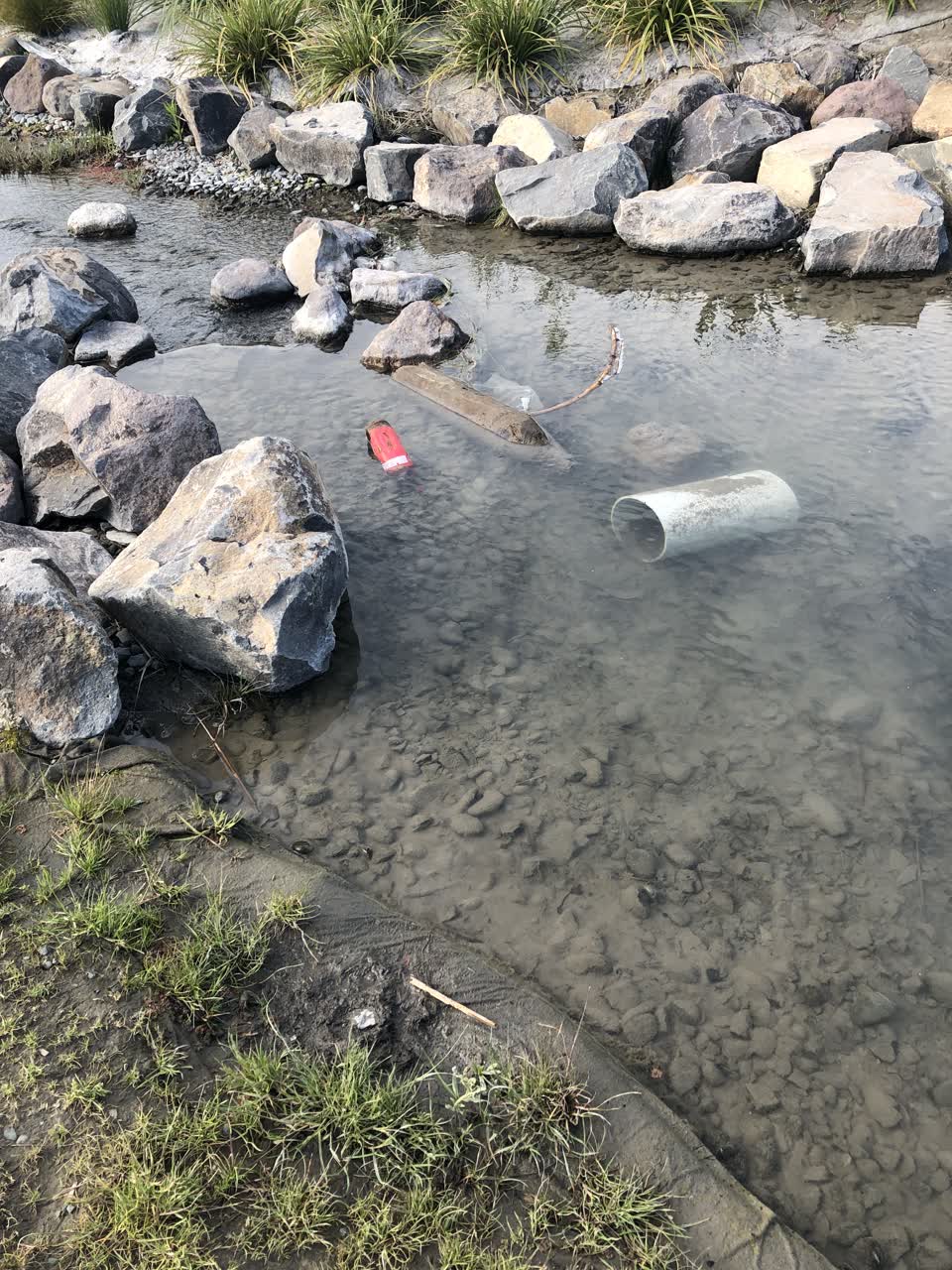 The photograph attached to this parks report