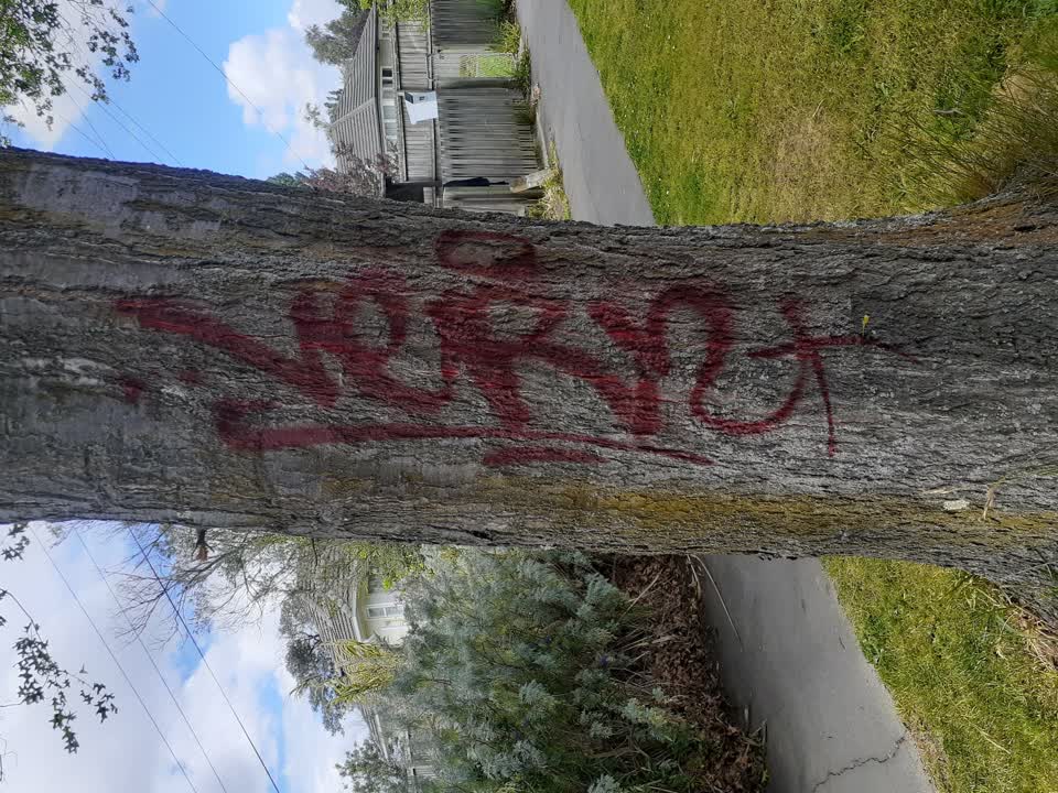 The photograph attached to this graffiti report