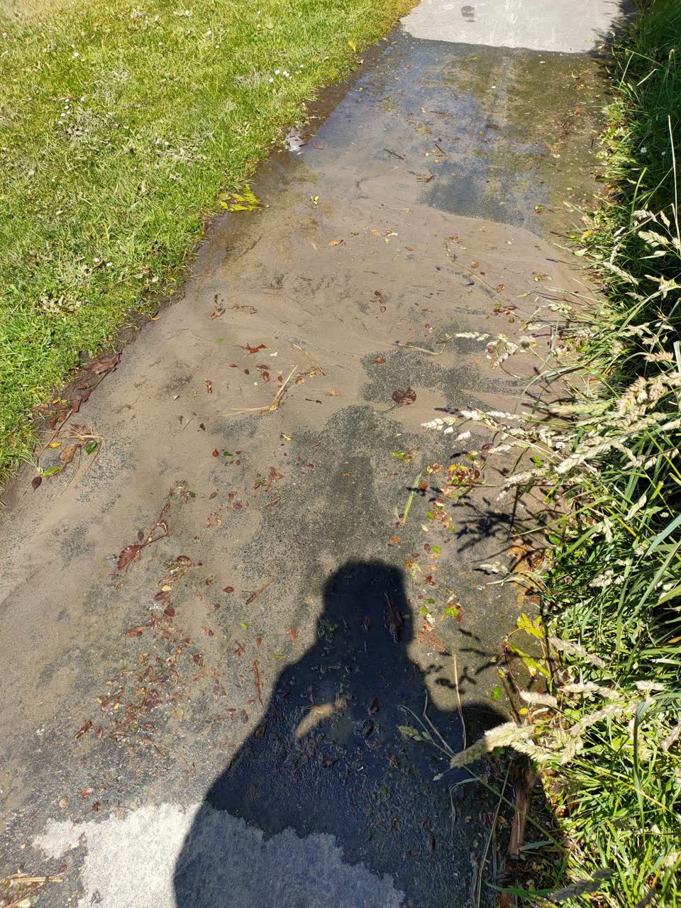 The photograph attached to this water leak report