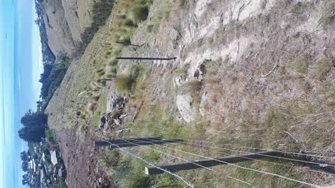 Street Light Outage, a report photo