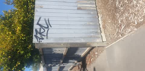 Graffiti, a report photo