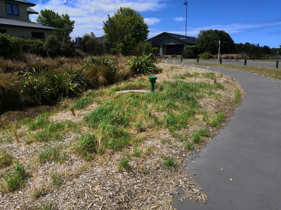 The photograph attached to this parks report