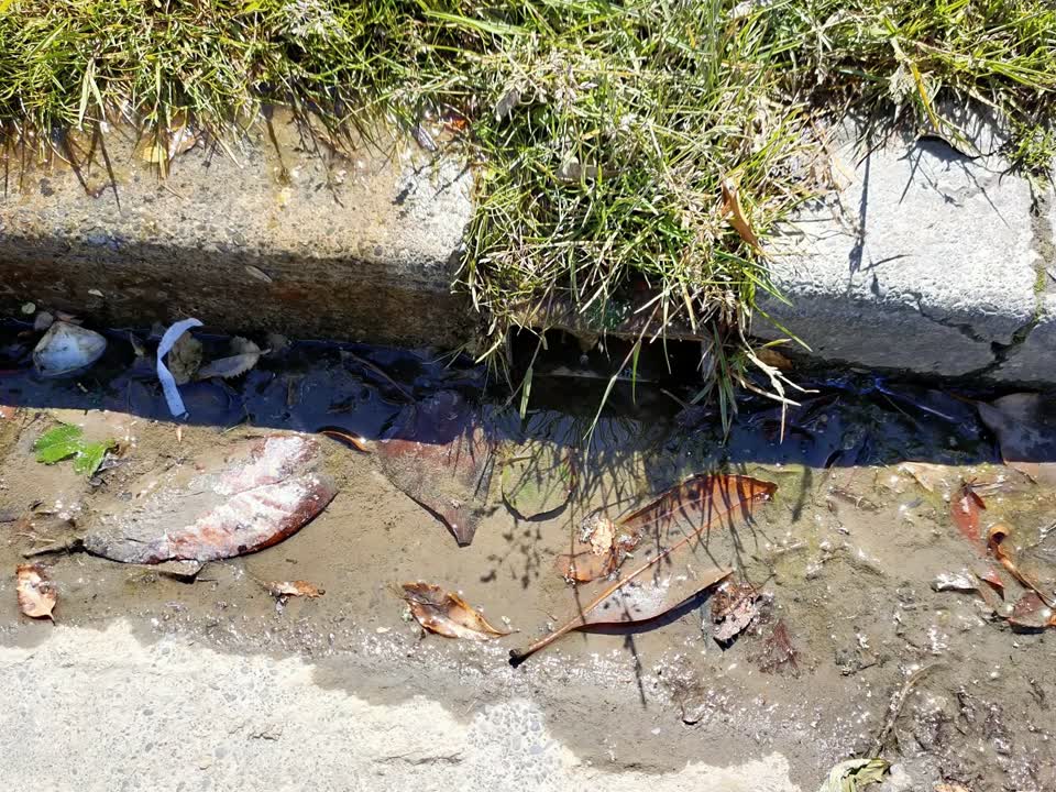 The photograph attached to this water leak report
