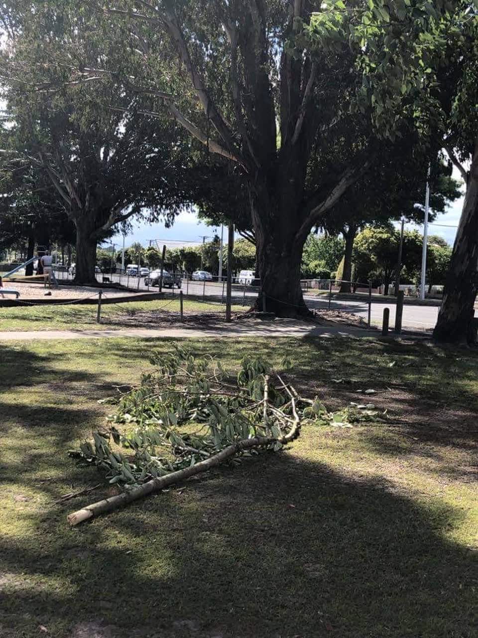 The photograph attached to this parks report