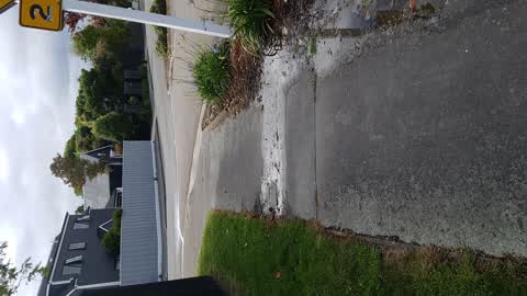 Water Leak, a report photo