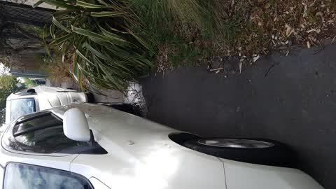 Water Leak, a report photo