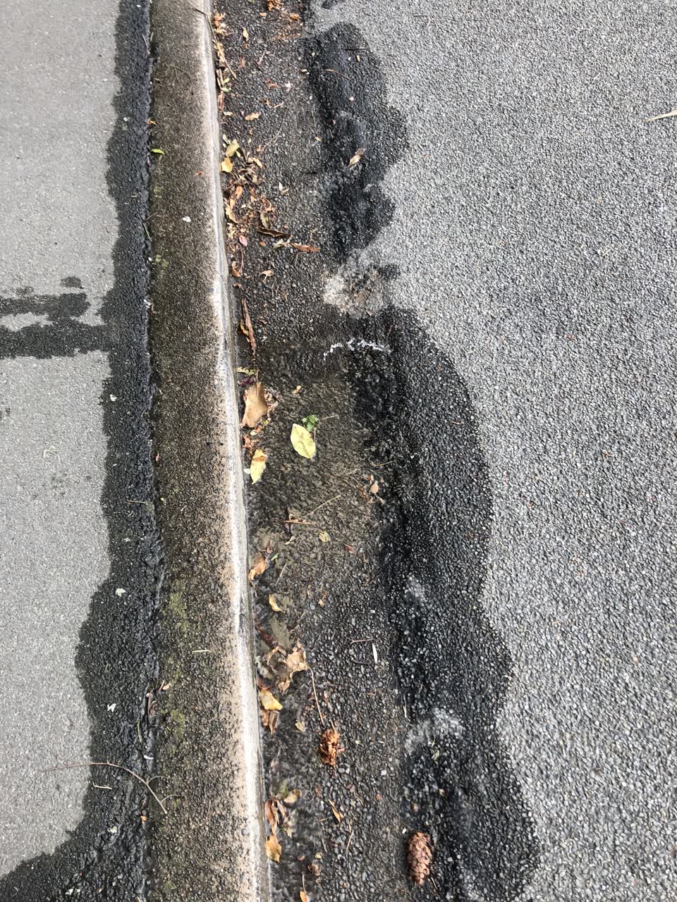 The photograph attached to this water leak report