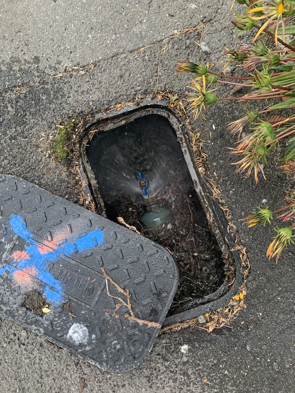 The photograph attached to this water leak report