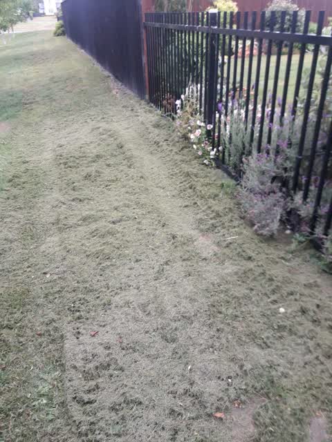 Parks, a report photo