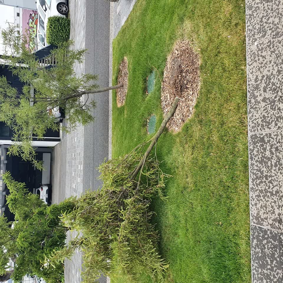 The photograph attached to this parks report