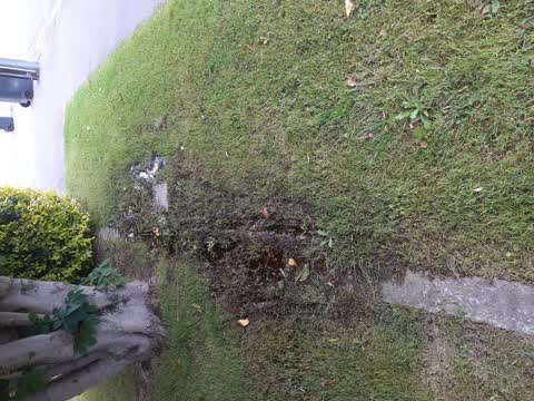 Water Leak, a report photo