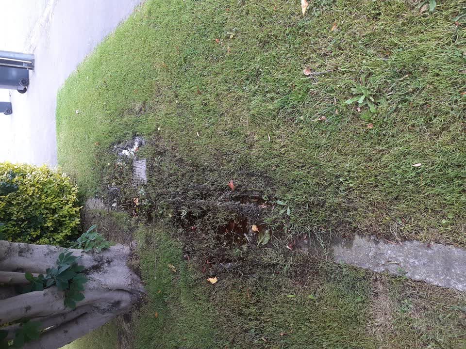 The photograph attached to this water leak report