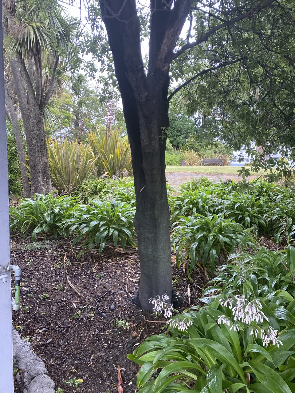The photograph attached to this parks report